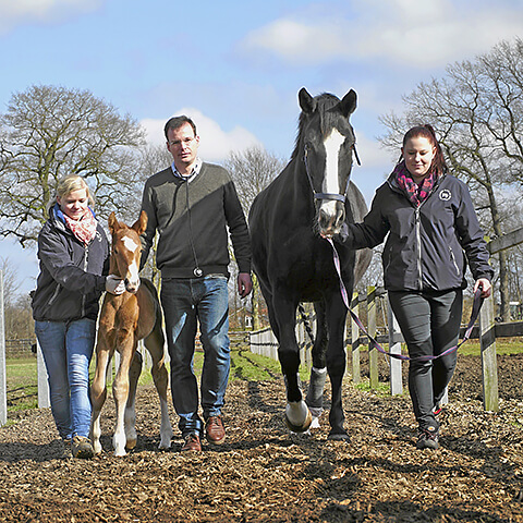 pferdeklinik-muehlen-fohlenmedizin-teaser