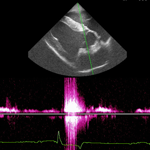 pferdeklinik-muehlen-innere-medizin-teaser