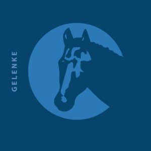 Gelenke, Sehnen & Knochen