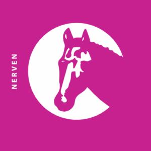 Nerven & Konzentration