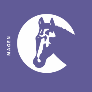 Magen, Darm & Leber