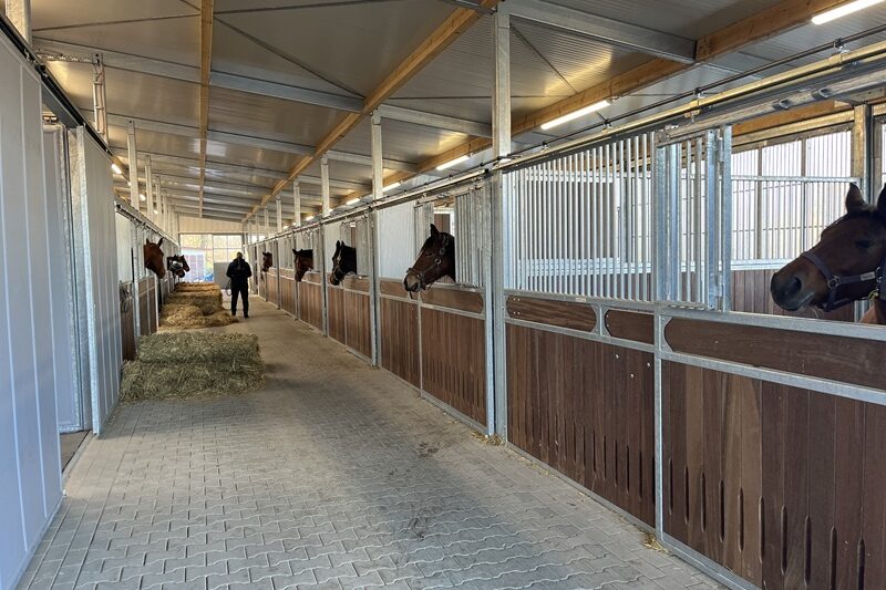 Stallgasse der Pferdeklinik Mühlen